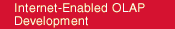 Internet-Enabled OLAP Development - OLAP SAS data warehouse data mining decision support systems dss 
