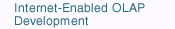 Internet-Enabled OLAP Development - OLAP SAS data warehouse data mining decision support systems dss