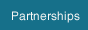 Partnership - SAS Alliance Partnership SAS Institute software technologies data warehousing OLAP certification faster access